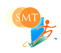 Syndicat Mixte des Transports